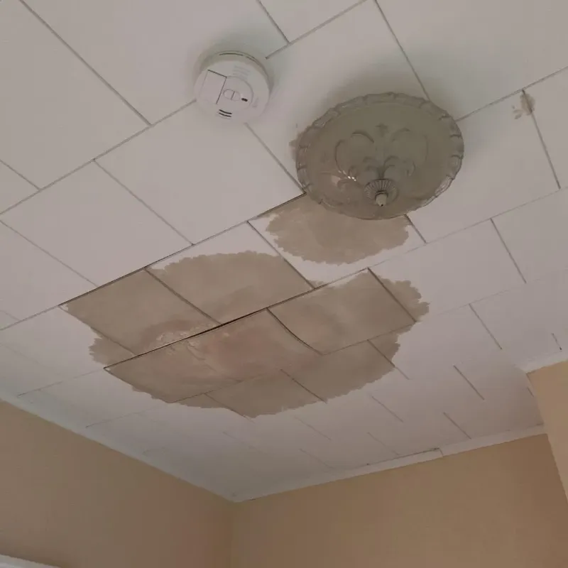 Ceiling Water Damage Repair in Elm City, NC