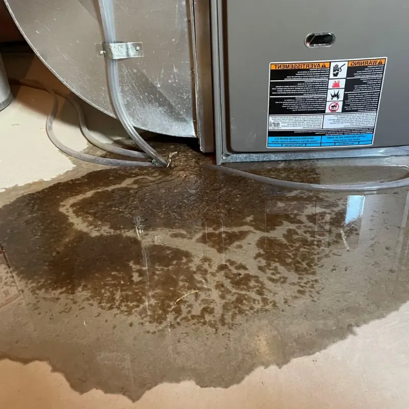 Pipe Burst and Leak Restoration in Elm City, NC