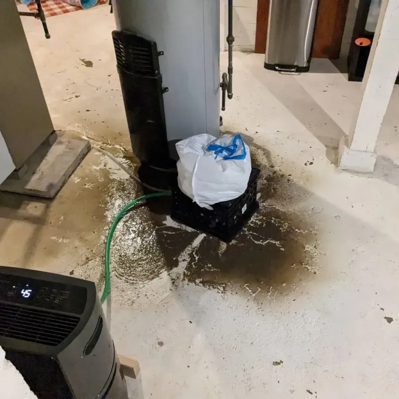 Sewage Backup Cleanup Service in Elm City, NC
